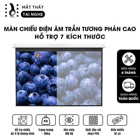 Màn chiếu điện âm trần tương phản cao, góc nhìn 180 độ, loại cao cấp, cho chất lượng hình ảnh đẹp, sắc nét, hỗ trợ 7 kích thước