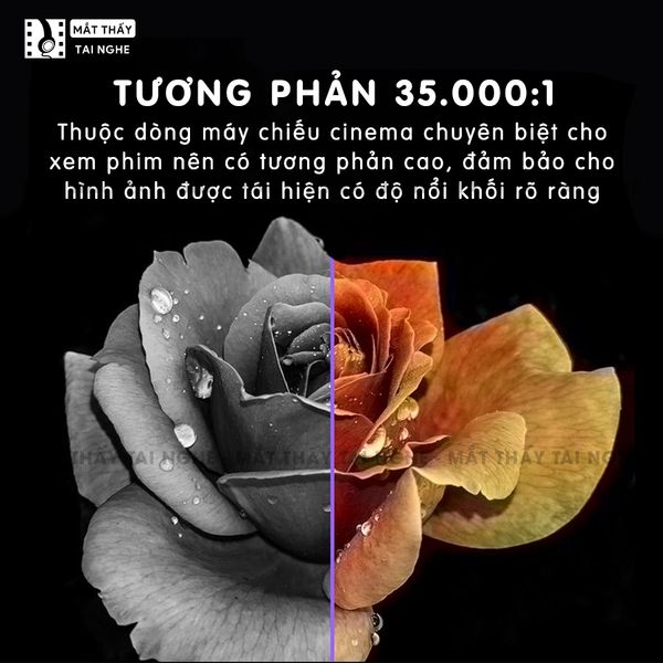 Epson EH-TW5350 - 99% - Máy chiếu Full HD 1920x1080p chuyên Cinema, tương phản siêu cao 35.000:1, hỗ trợ chiếu 3D cực đẹp, có chế độ kết nối không dây tiện lợi