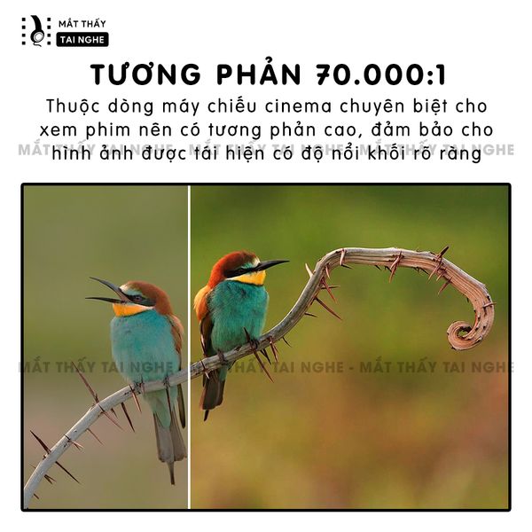 Epson EH-TW6600 - 99% - Máy chiếu Full HD 1920x1080p chuyên Cinema, độ sáng 2.500 ansi, tương phản siêu cao 70.000:1, hỗ trợ chiếu 3D cực đẹp