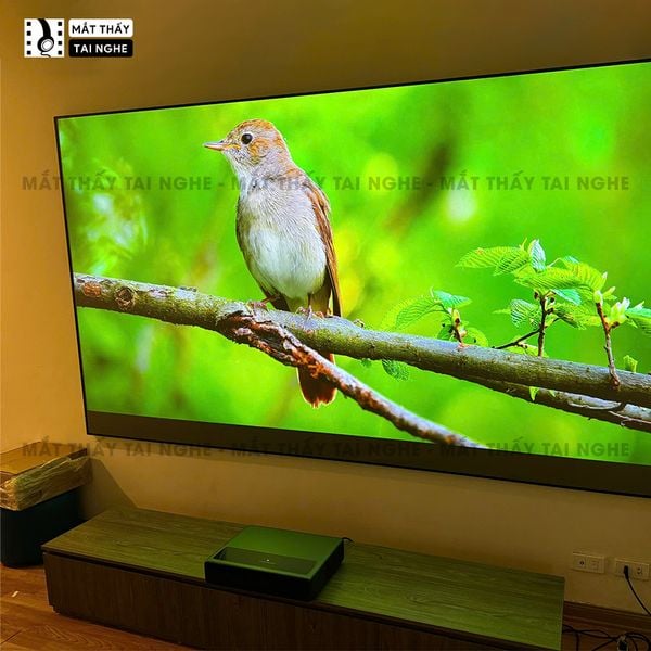 Màn chiếu fixframe quang học UST Xview X3 kèm khung fix frame, góc nhìn 180 độ, loại cao cấp, cho chất lượng hình ảnh đẹp, sắc nét, hỗ trợ 2 kích thước