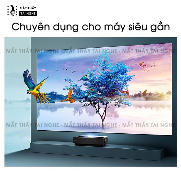 Màn chiếu fixframe quang học UST Xview X3 kèm khung fix frame, góc nhìn 180 độ, loại cao cấp, cho chất lượng hình ảnh đẹp, sắc nét, hỗ trợ 2 kích thước