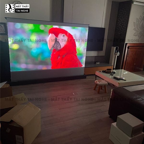 Màn chiếu để sàn điện quang học, chuyên dụng cho máy chiếu xa, có điều khiển tự động lên xuống, góc nhìn 180 độ, loại cao cấp, cho chất lượng hình ảnh đẹp, sắc nét, thuận tiện di chuyển