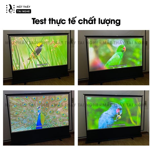 Màn chiếu để sàn có chân dựng đứng 100inch góc nhìn 180 độ, cho chất lượng hình ảnh đẹp, sắc nét, thuận tiện di chuyển, dùng được cho mọi loại máy chiếu
