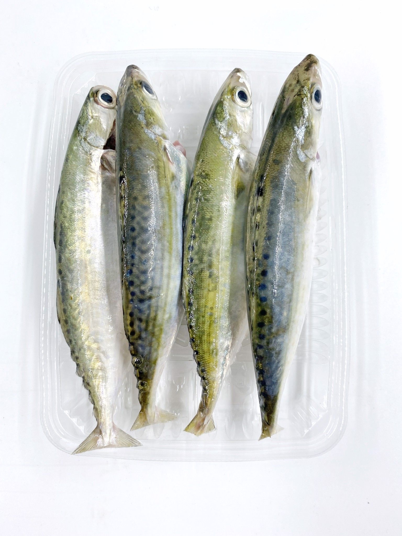 Cá bạc má 400gr – Fishi Nha Trang Cá Bạc Má 400Gr – Fishi Nha Trang