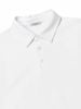 POLO POL.HAM TRẮNG BASIC 5124