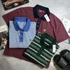 POLO A&F KẺ NGANG CROPPED FIT 7844