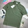 POLO L.C CỔ V BASIC SLIM 6650