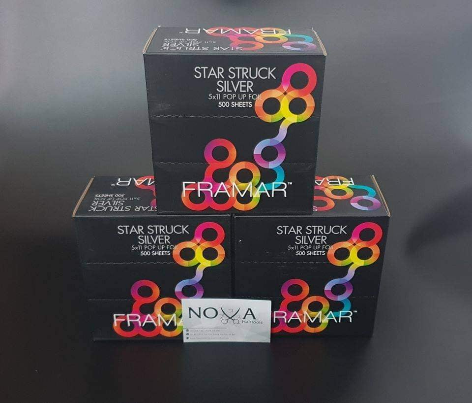  Framar - Giấy bạc - Star Struck Silver - Embossed Roll Medium 