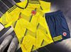 Áo bóng đá Quốc gia Colombia 2019/2020 (Đặt may) - Home Kits