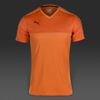 Áo thi đấu không logo Puma Accuracy SS các màu (Đặt may)