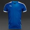 Áo thi đấu không logo Puma Pitch các màu (Đặt may)