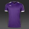 Áo thi đấu không logo Puma Pitch các màu (Đặt may)