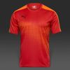 Áo thi đấu không logo Puma Torre các màu (Đặt may)