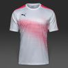 Áo thi đấu không logo Puma Torre các màu (Đặt may)