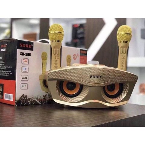 Loa Karaoke Bluetooth Hát Hay SD306 kèm 2 mic