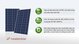  Tấm pin năng lượng mặt trời Canadian 