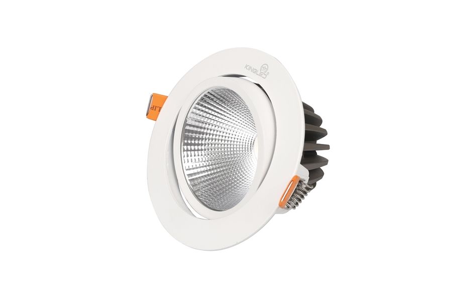  Đèn led Spotlight tròn 10W 