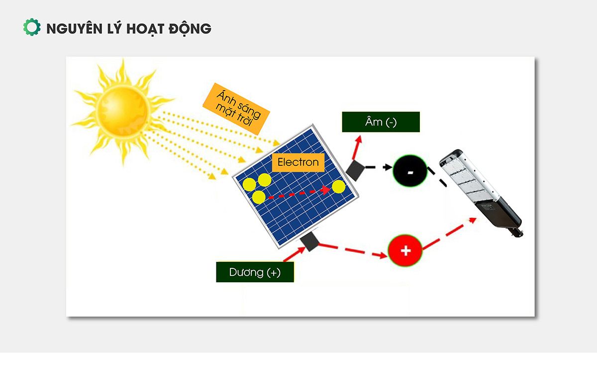  RẠNG ĐÔNG - ĐÈN ĐƯỜNG NLMT 100W - CAO CẤP 