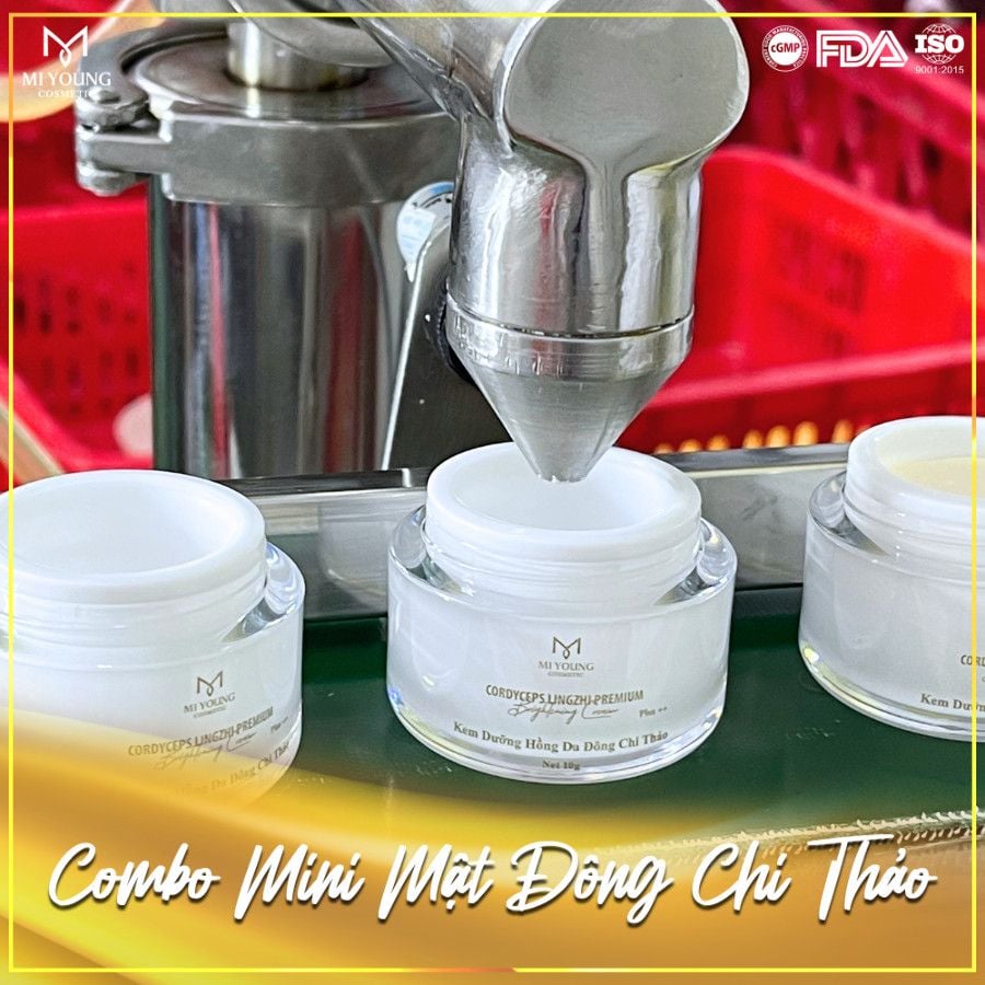  COMBO MẬT ĐÔNG CHI THẢO 