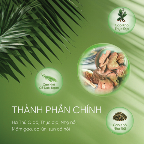  Viên uống Hà Thủ Ô Dakami 