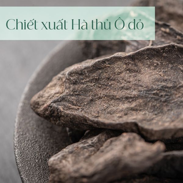  Viên uống Hà Thủ Ô Dakami 