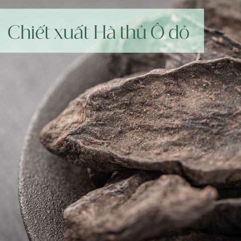  Viên uống Hà Thủ Ô Dakami 