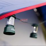  Đèn dây Led Coleman 2000001475 