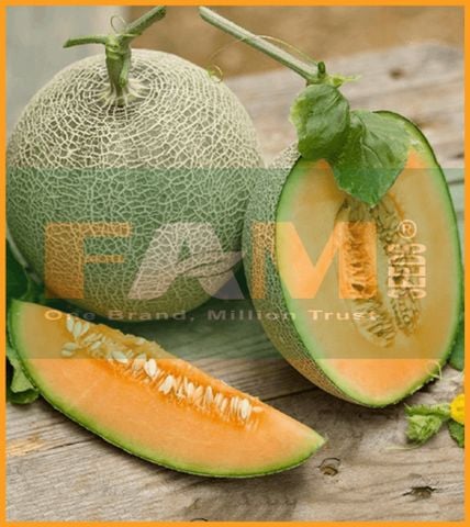 DƯA LƯỚI RUỘT CAM FS 166