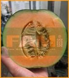 DƯA LƯỚI RUỘT CAM FS 166