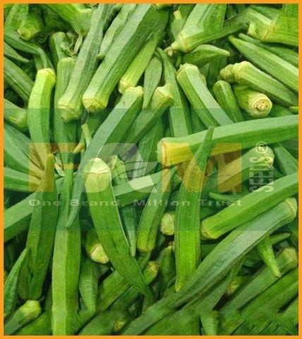 ĐẬU BẮP TRÁI XANH FAM 201