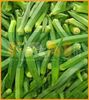 ĐẬU BẮP TRÁI XANH FAM 201