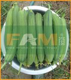 MƯỚP HƯƠNG FS 238