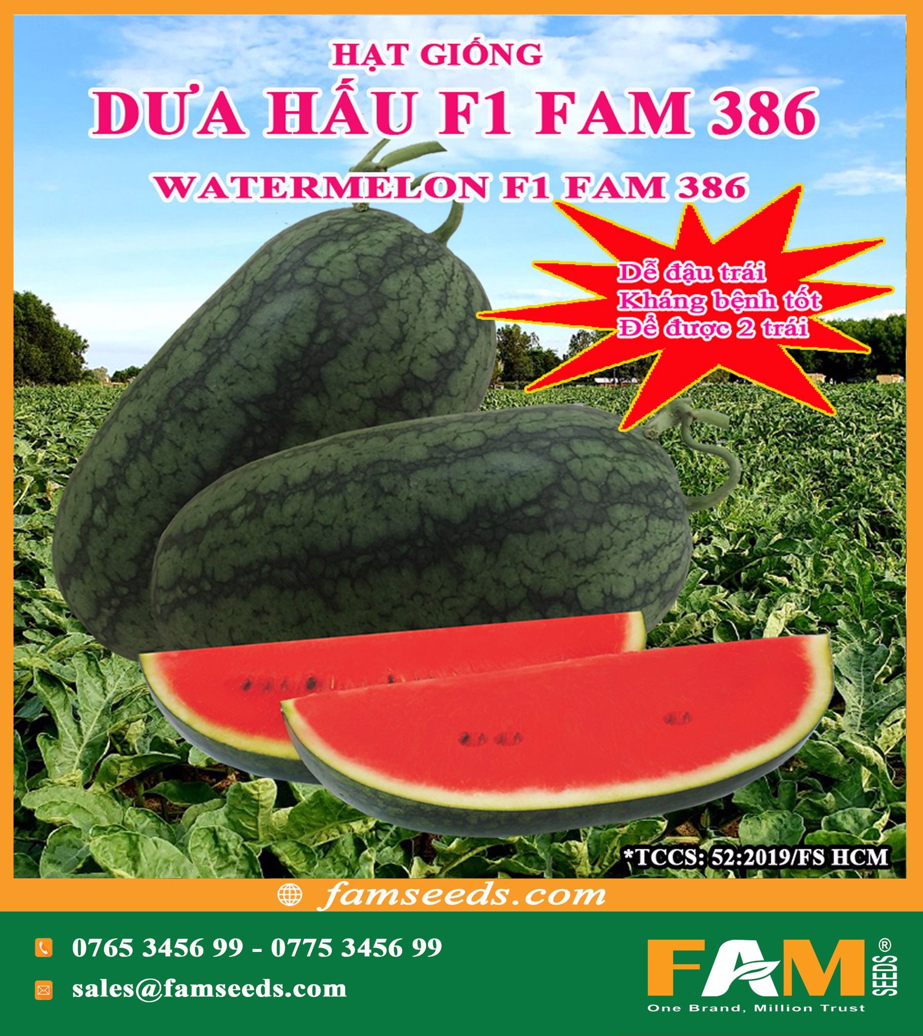 HẠT GIỐNG DƯA HẤU FAM 386 – Công ty TNHH Sản Xuất Thương Mại HẠT GIỐNG DƯA HẤU FAM 386 – Công ty TNHH Sản Xuất Thương Mại