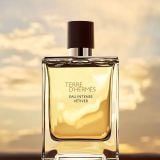 Nước Hoa Nam Hermes Terre D'Hermes Eau Intense Vetiver EDP 100ml