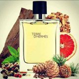 Nước hoa nam HERMES Terre d’Hermes Pure Parfum 75ml