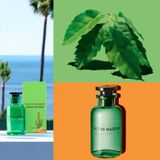 Nước Hoa Unisex Louis Vuitton Cactus Garden EDP 100ml