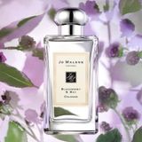 Nước Hoa Unisex Jo MaLone Wood Sage & Sea Salt 100ml