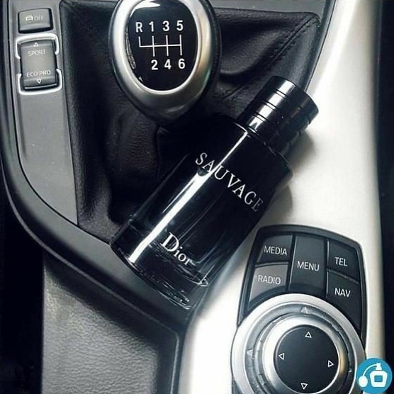 Perfume Sauvage Premium: La Fragancia Masculina Definitiva - Perfume Sauvage Premium