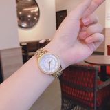 Đồng hồ Michael Kors Ladies watch MK3899