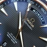 Omega Seamaster Aqua Terra Day Date 231.20.42.22.06.001