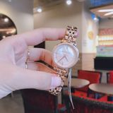 Đồng hồ Michael Kors Ladies watch MK3643