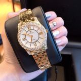 Đồng hồ Bentley quartz Ladies watch BL1815-101BKII DLK Gold