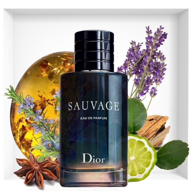 christian dior souvage