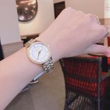 Đồng hồ Michael Kors Ladies watch MK3899