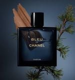 Nước Hoa Nam Chanel Bleu De Chanel Parfum 100ml
