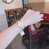 Đồng hồ Michael Kors Ladies watch MK6601