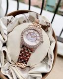 Đồng hồ Bentley quartz Ladies watch BL1815-101BRCI DLR Trắng
