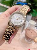 Đồng hồ nữ Citizen Crystal Gold Ladies Watch EV0042-53A