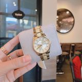 Đồng hồ Michael Kors Ladies watch MK6601