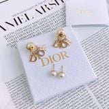 Dior E2074WOMCY D301